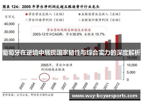 葡萄牙在逆境中展现国家韧性与综合实力的深度解析