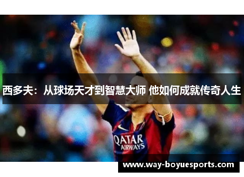 西多夫：从球场天才到智慧大师 他如何成就传奇人生