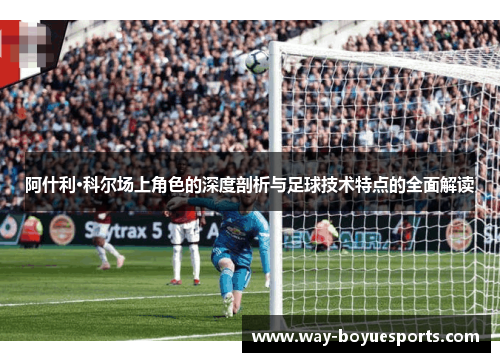 阿什利·科尔场上角色的深度剖析与足球技术特点的全面解读