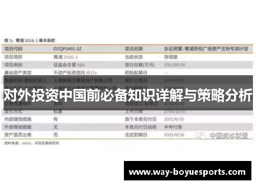 对外投资中国前必备知识详解与策略分析