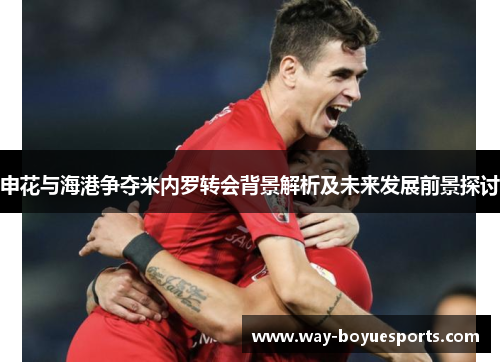 申花与海港争夺米内罗转会背景解析及未来发展前景探讨 申花与海港争夺米内罗转会背景解析及未来发展前景探讨