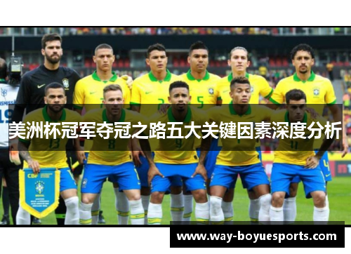 美洲杯冠军夺冠之路五大关键因素深度分析