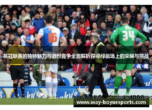 英冠联赛的独特魅力与激烈竞争全面解析探寻绿茵场上的荣耀与挑战