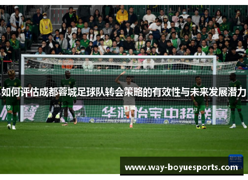 如何评估成都蓉城足球队转会策略的有效性与未来发展潜力