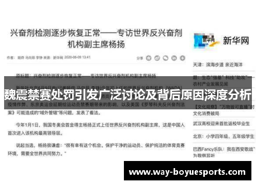 魏震禁赛处罚引发广泛讨论及背后原因深度分析